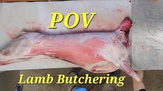 Lamb Butchering (POV Cut Up Of Lamb)