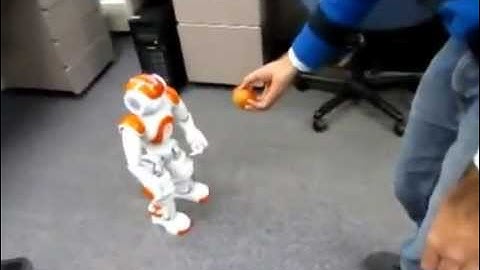 Experiments with Nao -- Object Detection and Following