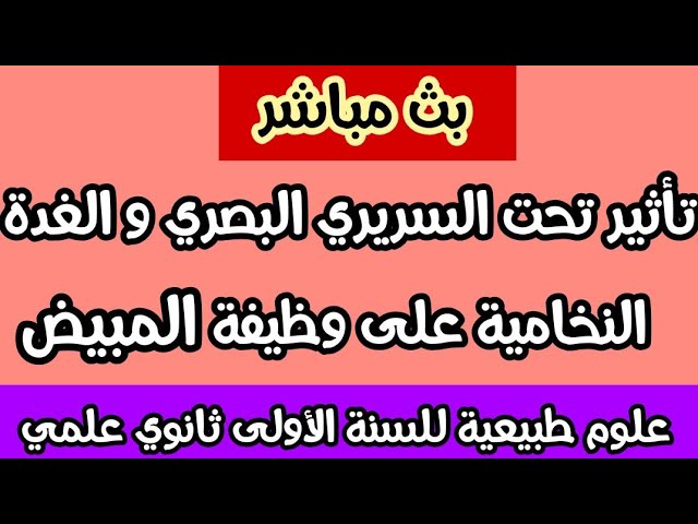 تأثير تحت السريري البصري و الغدة النخامية على وظيفة المبيض