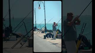 Il Molo di La Spezia