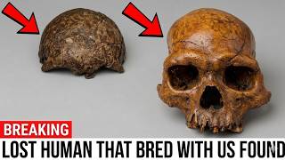 Ancient DNA Finally Explains Why This 14,000-Year-Old Skull Looks 300,000 Years Old