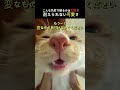 こんな角度で撮るのは危険！耐えられない可愛さ