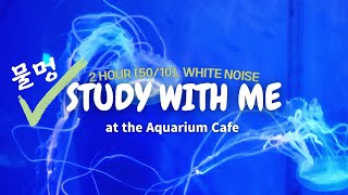 STUDY WITH ME at the Aquarium Cafe / ambient (no music) screenshot 3
