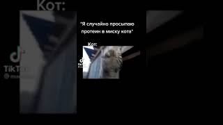 КОГДА НАСЫПАЛ КОТУ ПРОТЕИНА... 😂😂😂😂😱😱😱😳 #SHORTS