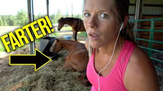Horse FARTS during business phone call!