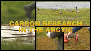 Carbon Research in the Arctic in the YK Delta