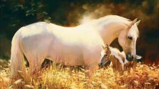 uzunköprü karışık oyun havaları 2016 - 2