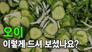 오이요리 초보자도 맛있게 무치는 법/ 집나간 입맛 잡는 맛/ 밥도둑 오이무침 이렇게 먹어야 맛나게 먹을 수 있어요