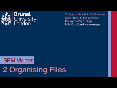SPM Tutorial 02 - Arranging Files