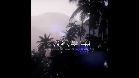 آيات من سورة الرحمن.  بصوت: بسام الواكد