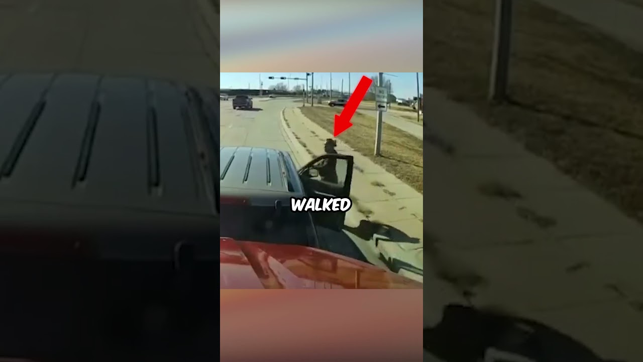 Driver Picked The Wrong Trucker