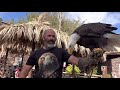 Oasis park Fuerteventura A great family day out to the zoo