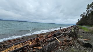  Lincoln Park in West Seattle on a rainy day  / Walking Tour