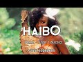 Bongo Fleva X Amapiano Instrumental Type Beat Haibo