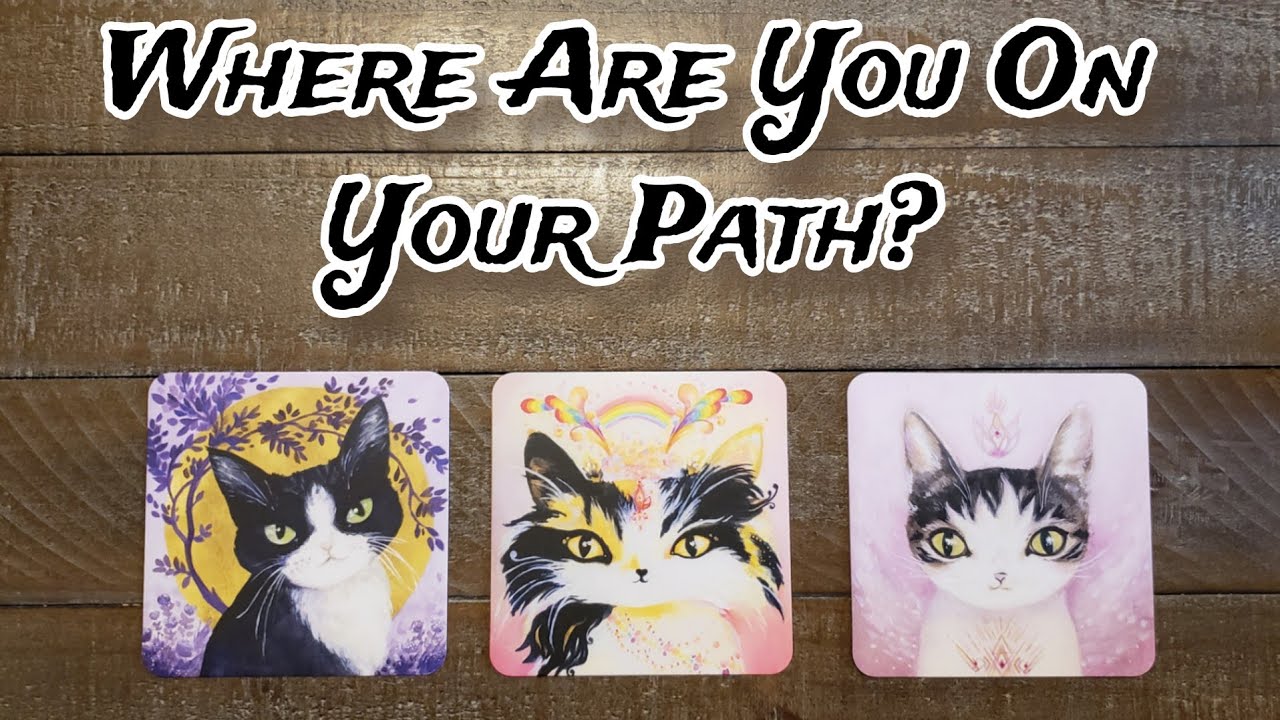 🐱🌟 Where Are You On Your Path? 🐱🌟 Pick A Card Reading