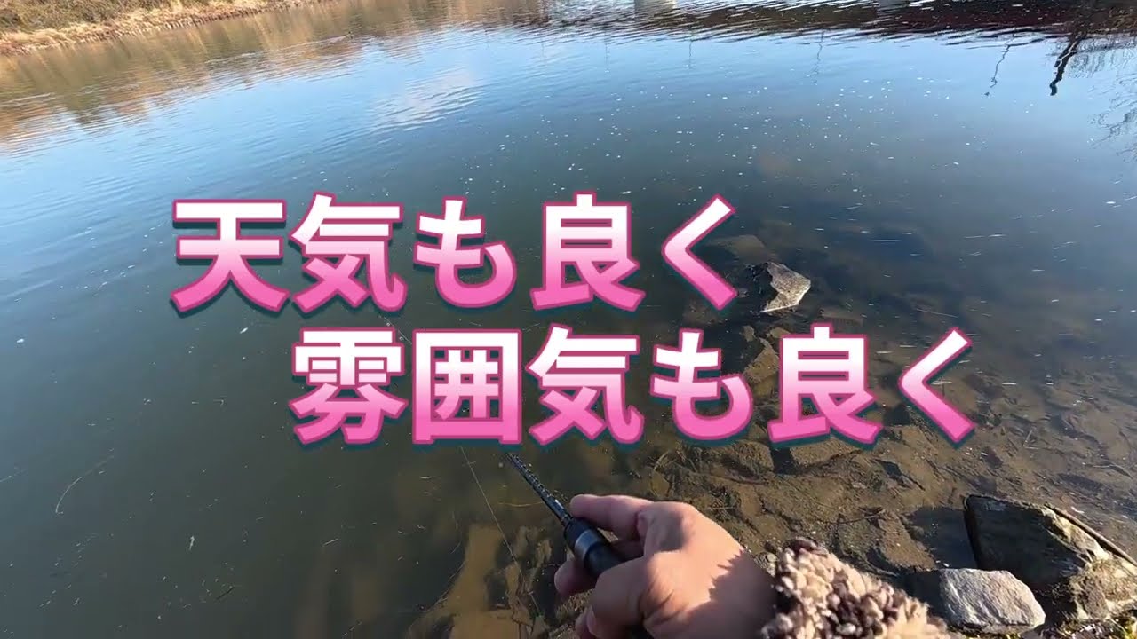 2026.2.18条件は良くなってしてます！宇治川ブラックバス釣り！