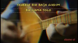Bağın Kapısını Açtım - Bağlama