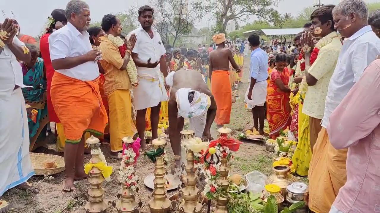 பெரம்பலூர் மாவட்டம் அரணாரை அருள்மிகு மாரியம்மன் திருக்கோயில் பால்குடம் ஊர்வலம் நிகழ்ச்சி