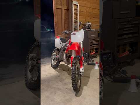 THIS DUDE CAN CLIMB ANYTHING ON A PITTER..