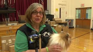 Air Hvrsd Therapy Dogs