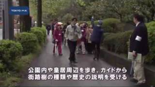 ガイドと歩く　皇居周辺で街路樹ツアー