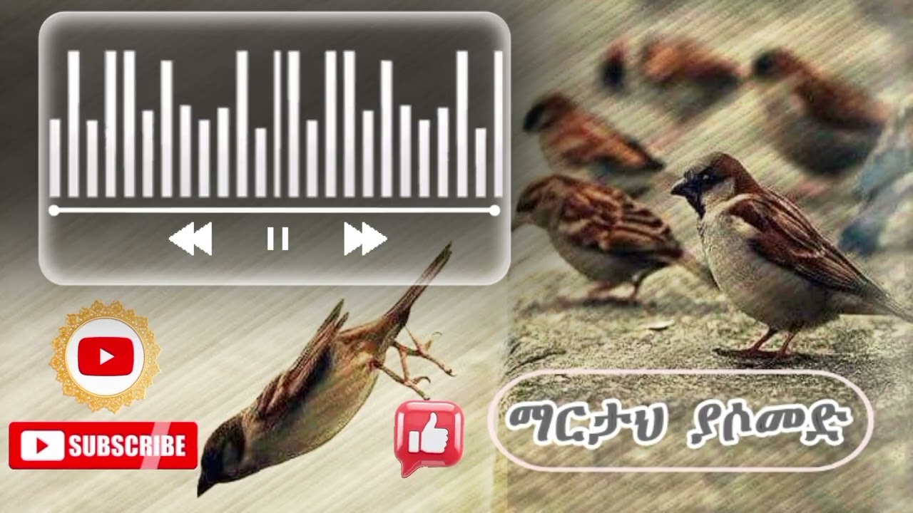 ማርታህን ያሶመድ ሀድራ