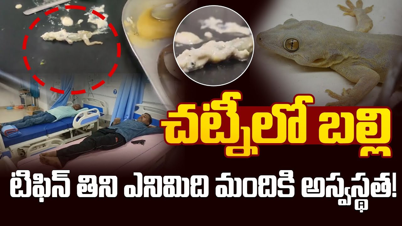 చట్నీలో బల్లి టిఫిన్ తిన్న ఎనిమిది మందికి అస్వస్థత! | Jagitial Food Poisoning 