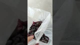 Download Lagu SW STATUS WHATSAPP STORY WA SHORT VIDEO DAILY  24 MP3