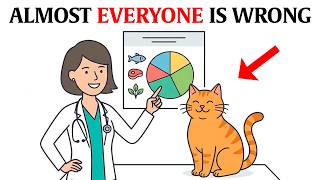 The shocking truth about how you feed your cat — almost no one escapes this