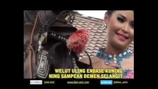 Download lagu WELUT ULING - dian anic