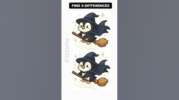 find 3 Differences #26