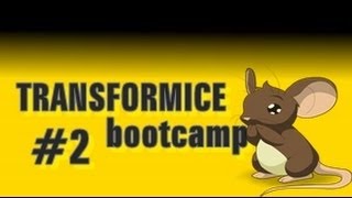 Transformice-Bootcamp #2