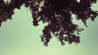 Watch Blonde Tongues She Wanted A War video