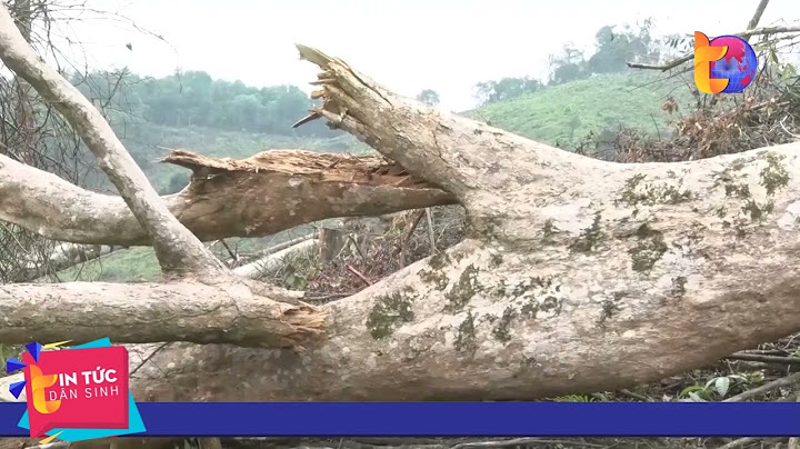 Quảng hóa lê hóa huyện tuyên hóa tỉnh quảng bình năm 2024