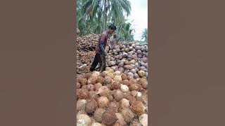 pagi ini aku pergi kerja dulu ni teman jan lupa tonton sampai selesau ya