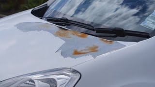 How long should the paint on your car last?
