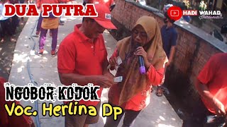Download Lagu Ngobor Kodok DUA PUTRA Voc. Herlina Dp 🔴 Live Kiajaran Wetan MP3