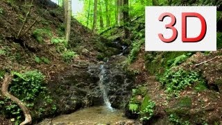 3D Nature: One Hour Waterfall Relaxation #4 and Bird Songs
