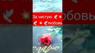 за любовь 🌹🕊️💥