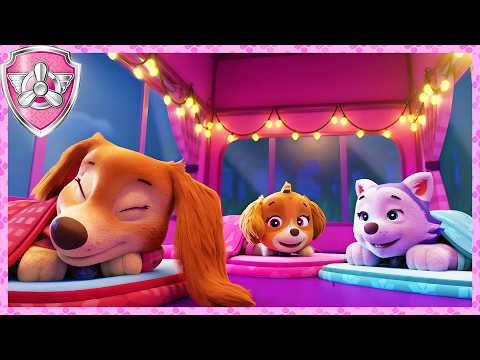 😴 Skye And Friends Have A Sleepover! 😴 | Skye - Paw Patrol & Friends | Cartoons For Kids