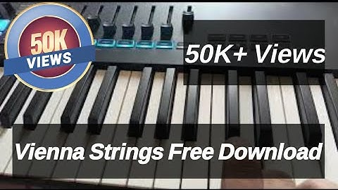 Small bit Vienna Strings #krupakshemamu