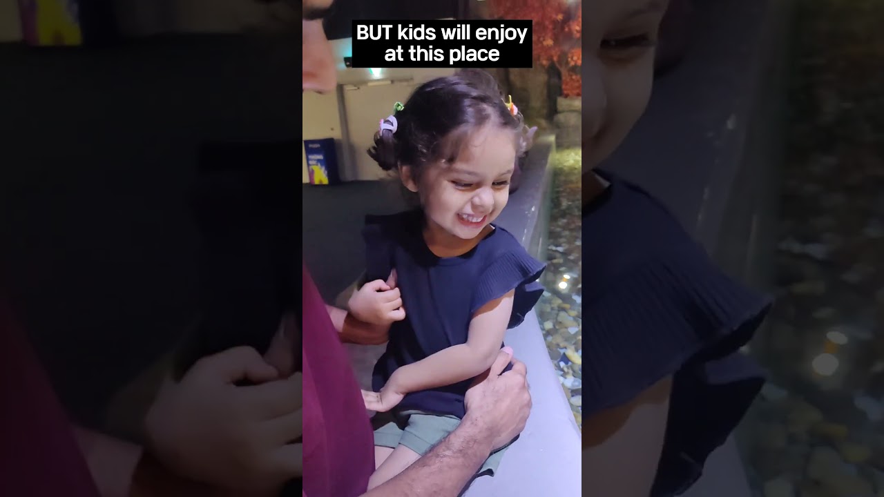 Lotte Fish Aquarium | Ticket Price | Honest Reviews 