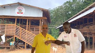 A LOOK AT UNITY BOER GOAT FARM with MR.BARTLEY