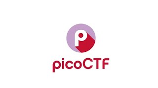 Pico-CTF (Picker-III/Reverse Engineering) Just Write Up 