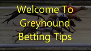 Greyhound Racing Betting Tips 3 screenshot 5