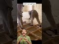 فوائد الفوم
