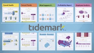 Tidemark