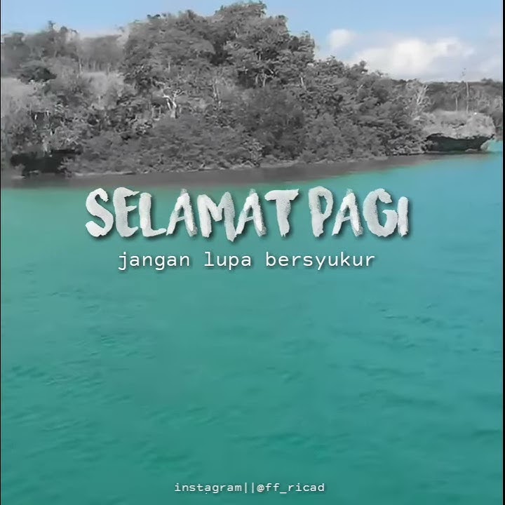 STORY WA PAGI HARI || STATUS WA PAGI KEREN TERBARU 2020 / DIPON STORY
