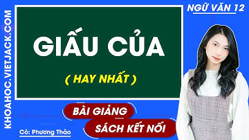 Giấu của | Ngữ văn 12 - Kết nối tri thức (HAY NHẤT)