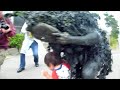 UNESCO Cultural Heritage God of mud 　宮古島 パーントゥプナハ